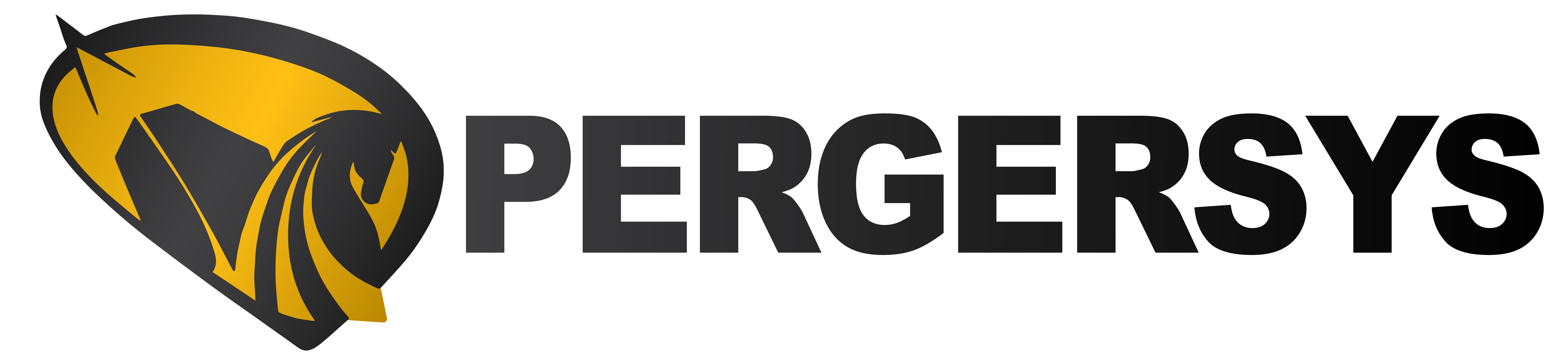 PERGERSYS