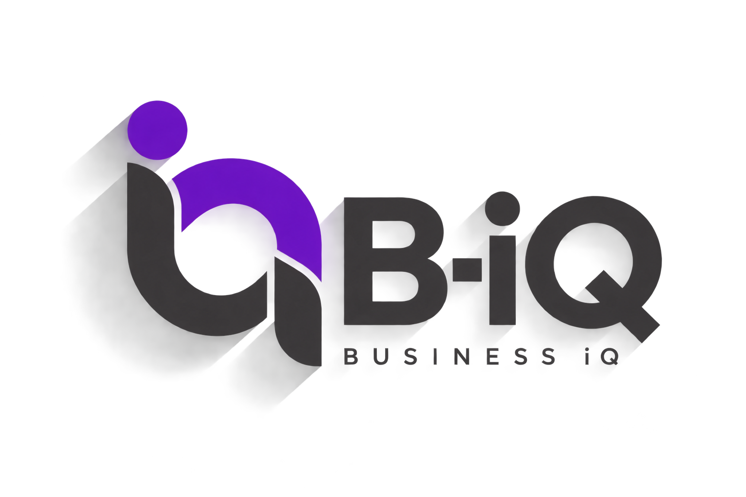 Business i-Q logo